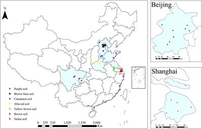 Comparison of the Total, Diazotrophic and Ammonia-Oxidizing Bacterial Communities Between Under Organic and Conventional Greenhouse Farming